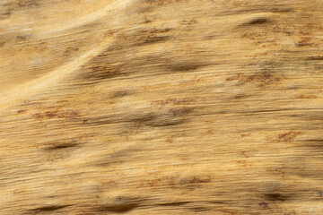 the beauty and uniqueness of the texture of dried banana leaves