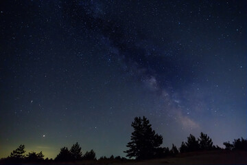 forest silhouette under starry sky with milky way, night  outdoor scene