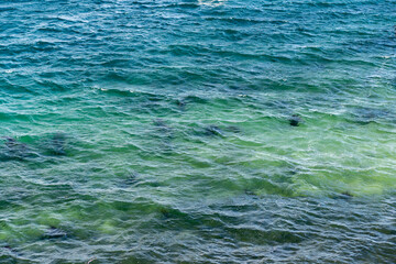 Moving blue water in the ocean on a windy day creating small ripples in the water