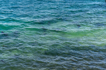 Fototapeta premium Moving blue water in the ocean on a windy day creating small ripples in the water
