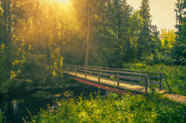 Dramatic photo of a small path and bridge over dark river into thick forest with bright sunlight. Can be used to represent unknown future, adventure, or  death and hope.