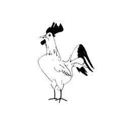 Rooster. Cock Illustration in Vintage engraving style. Grunge label, sticker for the farms and manufacturing depicting roster. Grunge label for the chicken product. Farm painting. Cockerel. Vector