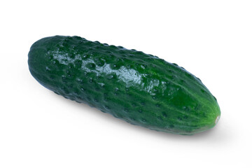 Green cucumber pimpled on a white background.Bright fresh cucumber isolated on a white background.Application for labels, posters and web design.