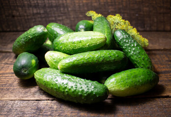 Fresh green cucumbers on a wooden background.Picturesquely scattered cucumbers and a branch of greenery.