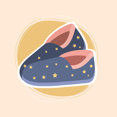 slippers fluffy accessory