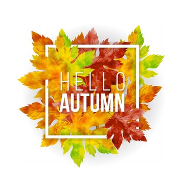 Hello autumn with leaf watercolor background