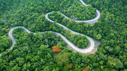 Beautiful winding road in forest lined with green and orange trees, Phetchaburi, Thailand.