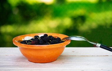 Bowl with oatmeal with mulberry on a wooden table in the garden.