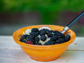 Bowl with oatmeal with mulberry on a wooden table in the garden.