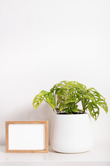 empty photo frame and plant in a pot mock up