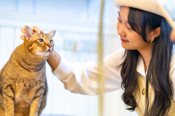 Young Asian woman sitting on floor playing and stroking adorable cat with happiness. Pretty girl enjoy indoor lifestyle with friendly cat at home. Pet and owner friendship and relationship concept