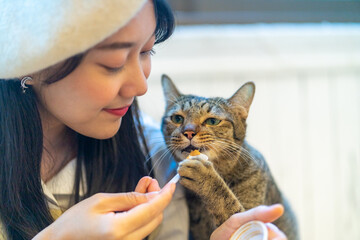 Young Asian woman sitting on floor playing and feeding pet treats to adorable cat with happiness....