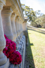 Red flower in stone fence