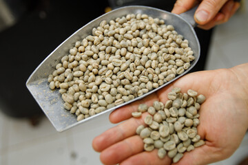  coffee dry on holding hand and spinning machine background