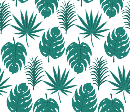 Tropical leaves seamless pattern, palm tree trendy print. Floral repeating texture, background. Vector illustration © Lucia Fox