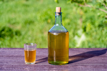 Homemade wine in a big glass bottle on nature background in garden