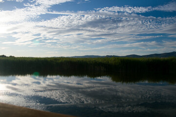Paisaje de laguna con reflejos en verano.	