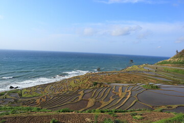 白米千枚田　棚田　能登半島　