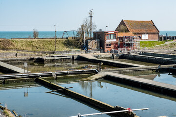 Oyster pits in Yerseke, Zeeland province, The Netherlands |\ Oesterputten in Yerseke, Zeeland province, The Netherlands