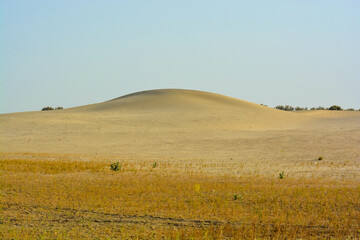 Fototapeta na wymiar Sand dunes in the Thar desert