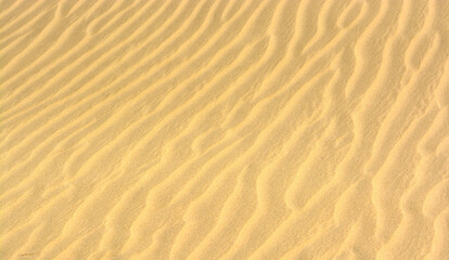Fototapeta na wymiar Texture of rippled sand 