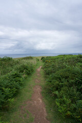 path in the field on hill top looking out to sea