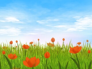 tulips against sky. A grove of red grass under a bright sky.  An illustration created from a tablet is used as a background in the spring concept.