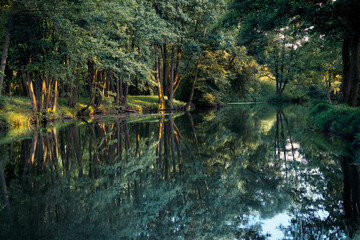Evening landscape. The forest and its reflection in the river at sunset