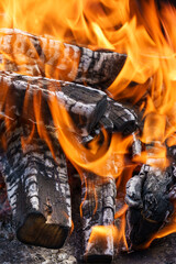 Burning wood and a fire in the fireplace