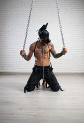 a man in a leather bdsm mask of a dog handcuffed to chains is kneeling against the wall - obrazy, fototapety, plakaty