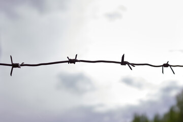 Silhouette of rusty barbed wire against the sky. Background for prison, war or immigration