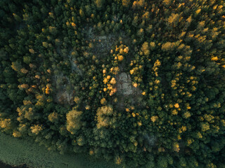 Aerial view of the forest of Karelia