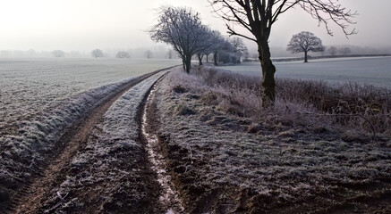 Wint3er farm track on a misty morning