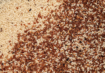 Rice germ organic mix texture background