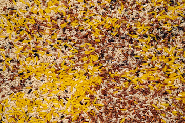 Rice germ organic mix texture background