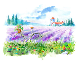 Bicycle and basket on a flowers meadow.Summer picture and lavender field. White background.Watercolor hand drawn illustration.	 - 446924224