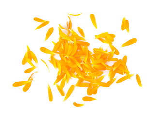 Pile of beautiful calendula petals on white background, top view
