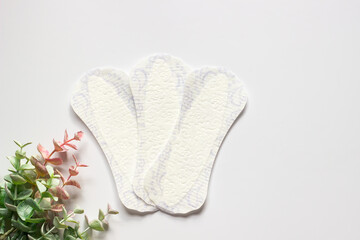 Feminine hygiene panty liner for menstruation. Menstrual cycle, pad. White background.