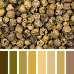 Green peppercorn palette