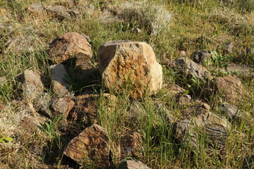 a stone in the field