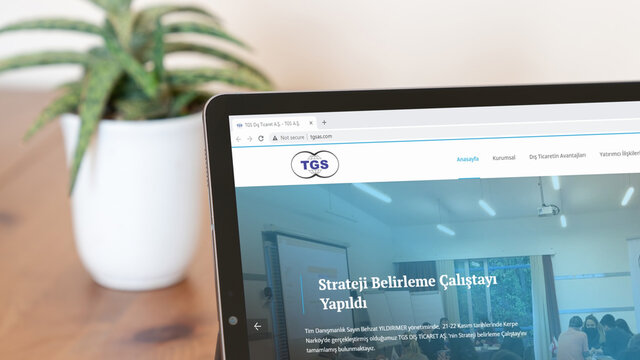 Illustrative Editorial screenshot of Turkish TGS Dis Ticaret homepage.