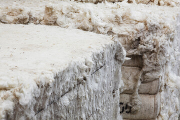Textile Mill - Organic Cotton Bales