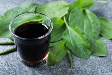 Glass of broadleaf plantain tincture on grey table