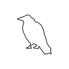 Crow. black Crow. black magic. halloween holiday.