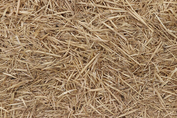 dry hay bale straw cover background