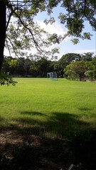 The football field covered nature.