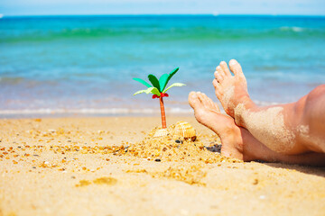 Miniature palm and girl's legs in sand close-up