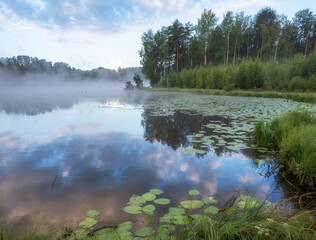 beautiful foggy morning sunrise on a forest lake with water lilies in summer in northern europe