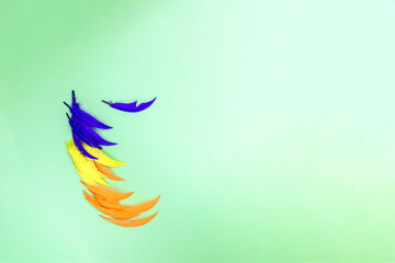 Blue, orange and yellow Feathers on a turquoise background.