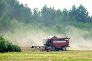 Combine harvester harvest wheat crop in the clouds of dust